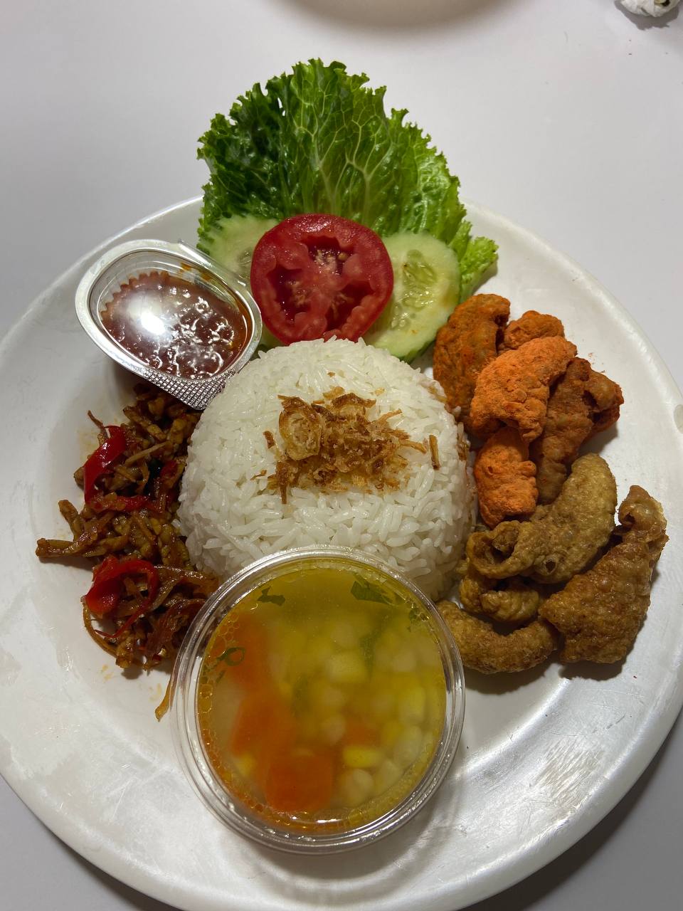 Nasi Kulit Ayam Dua Rasa